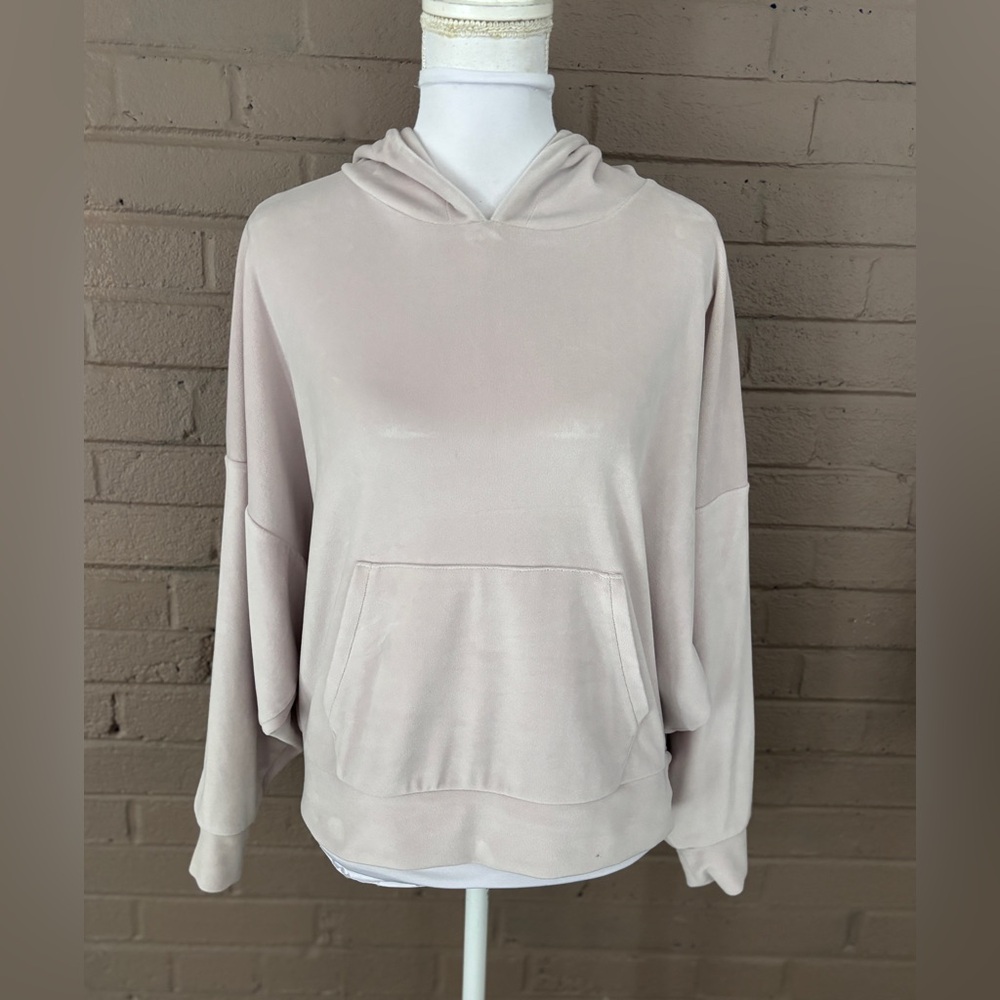 AEO Mauve velour hoodie M